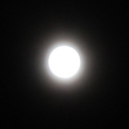 越谷市・夜の月