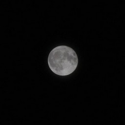越谷市・夜の月