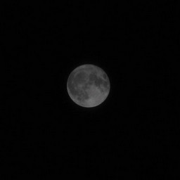 越谷市・夜の月