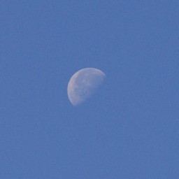 越谷市・昼の月