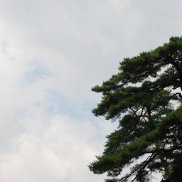 日光市