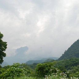 日光市