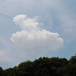 川口市