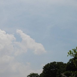 川口市
