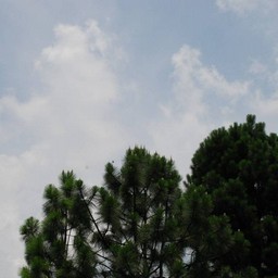 川口市
