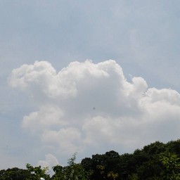川口市