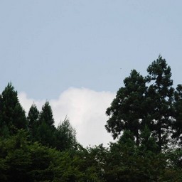 青梅市