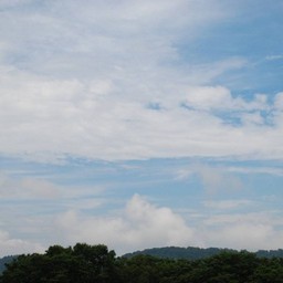 群馬県・たんばら高原