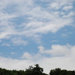 群馬県・たんばら高原