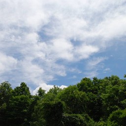 群馬県・たんばら高原