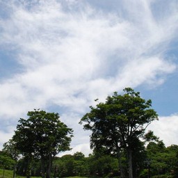 群馬県・たんばら高原