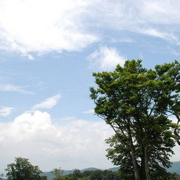 群馬県・たんばら高原