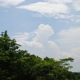 群馬県・たんばら高原