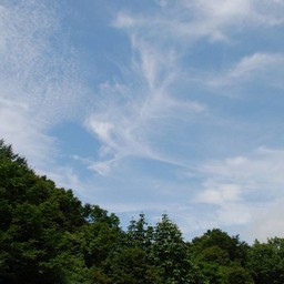 群馬県・たんばら高原