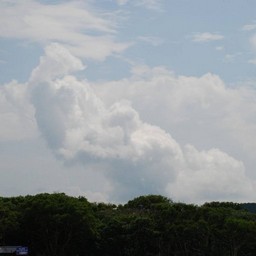 群馬県・たんばら高原