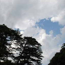 群馬県・たんばら高原