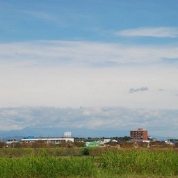 小山市