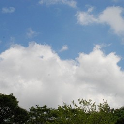 千葉市・動物公園