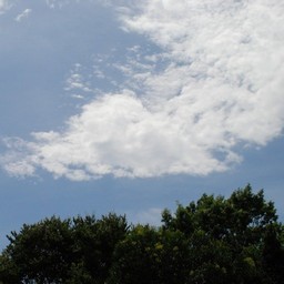 千葉市・動物公園