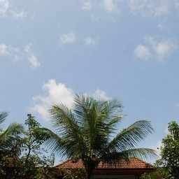 シンガポール