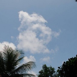 シンガポール