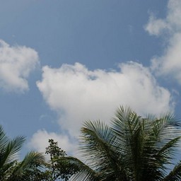 シンガポール