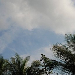 シンガポール
