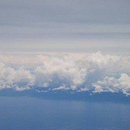シンガポール→成田便