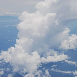 シンガポール→成田便