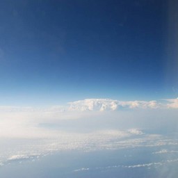 シンガポール→成田便