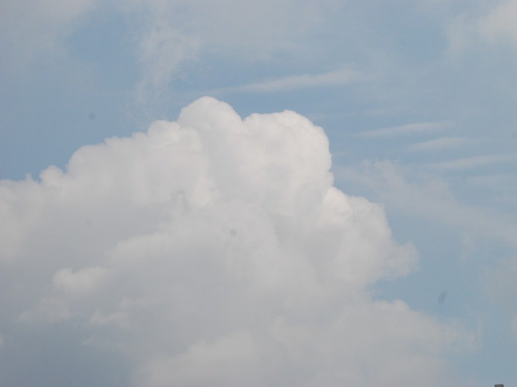 E` -  - ʐ^f - ݃{