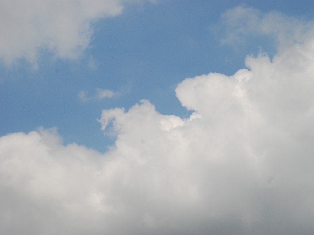 sEr쉈 -  - ʐ^f - ݃{