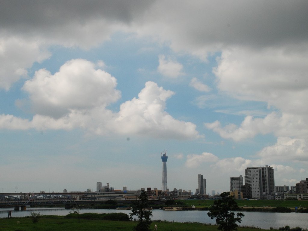 sEr쉈 -  - ʐ^f - ݃{