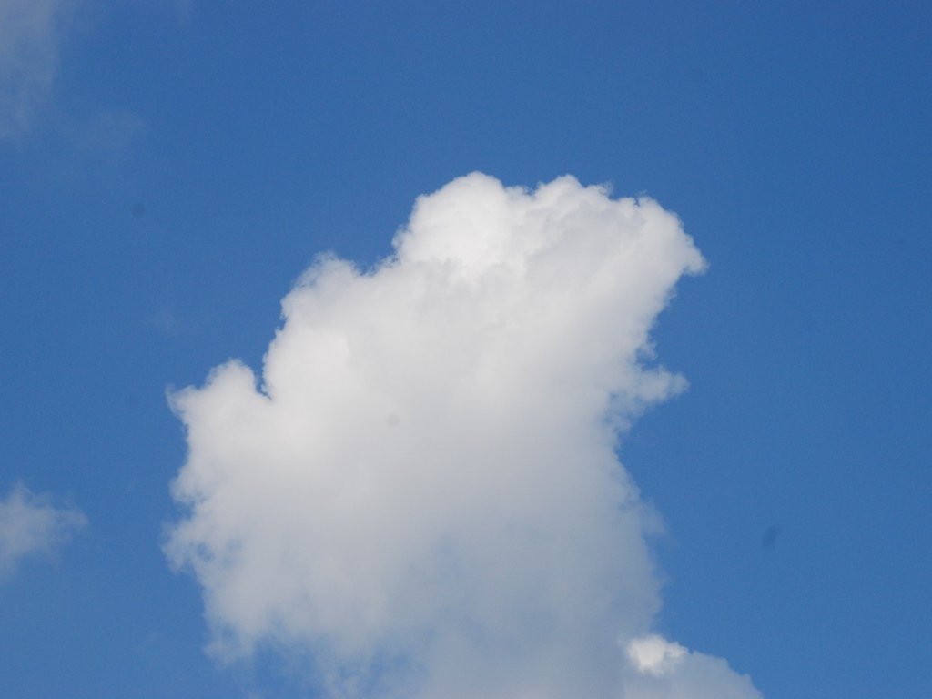 ʌgs -  - ʐ^f - ݃{