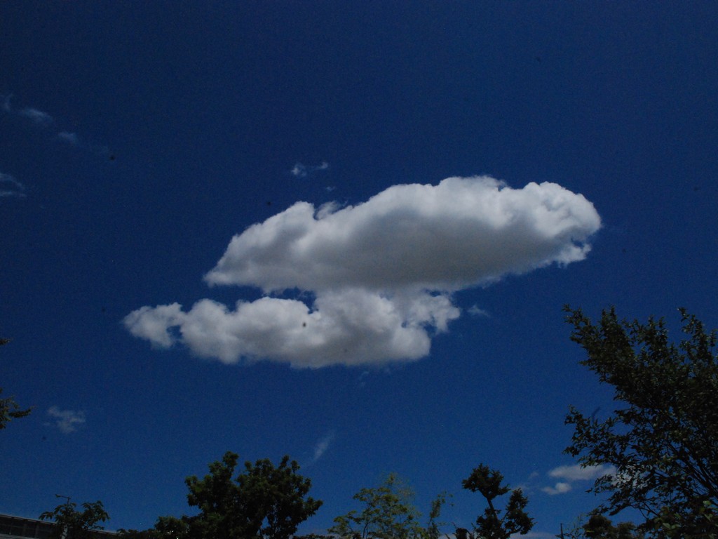 ʌzJs -  - ʐ^f - ݃{