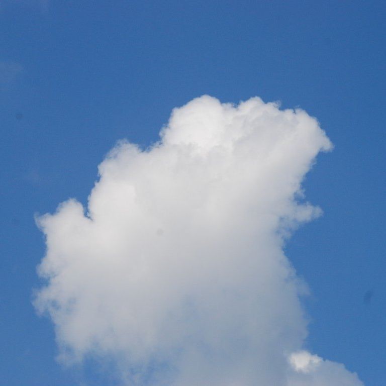 ʌgs -  - ʐ^f - ݃{