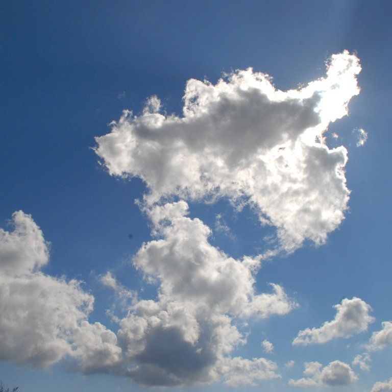 _ސ쌧Em΁Eێq -  - ʐ^f - ݃{