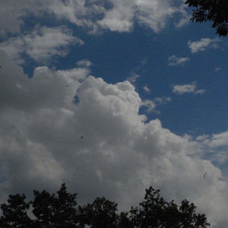 tss -  - ʐ^f - ݃{