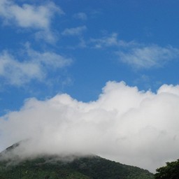 屋久島・宮之浦港