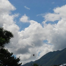 屋久島・宮之浦港