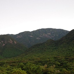 屋久島・モッチョム岳