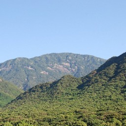 屋久島・モッチョム岳