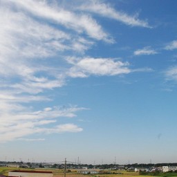 三郷市・江戸川