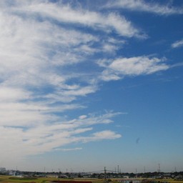 三郷市・江戸川