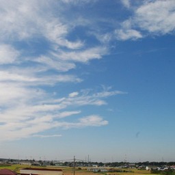 三郷市・江戸川