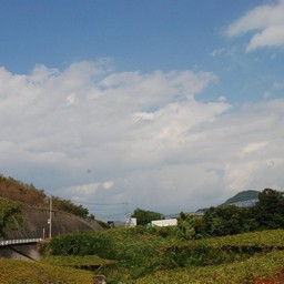 山梨県甲府市・勝沼ぶどう郷