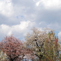 川口市