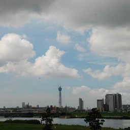 東京都葛飾区