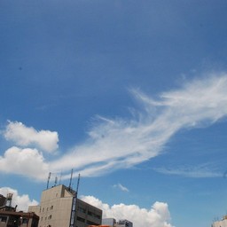 東京都墨田区