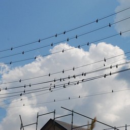 吉川市